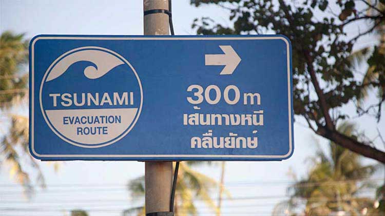 Tsunami evacuation route sign.