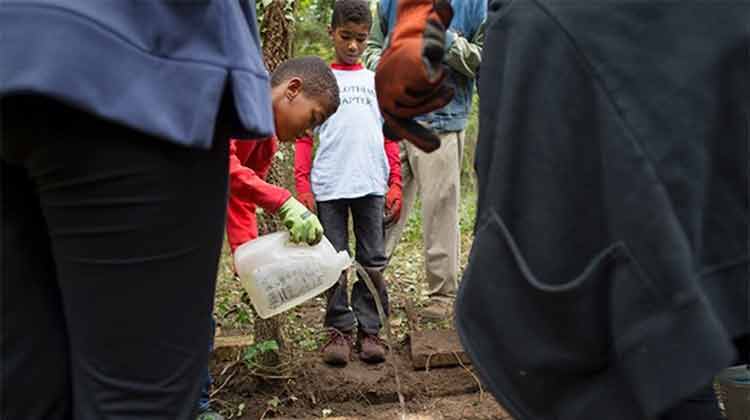 A young boy waters plants in a neighborhood garden.