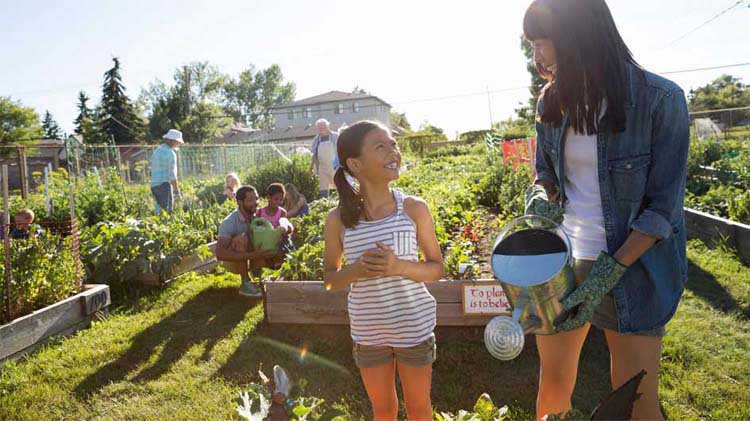 Woman and child watering plants in the sunshine.