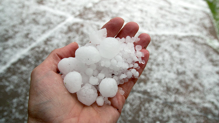 Various sizes of hail being held in a hand after a storm.