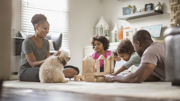 A family building blocks while spending time with their dog.