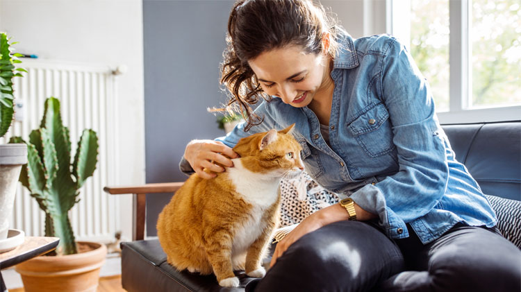 Woman playing with her cat at home with house plants in the background.