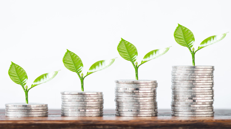 Plants growing on stack of coins.