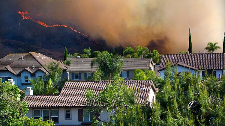 Infographic about how to prepare for a wildfire. 