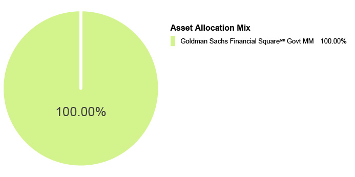 Pie Chart illustrating the Asset Allocation Mix for the State Farm® 529 Savings Plan - Money Market Static Option. Goldman Sachs Financial Square Govt MM 100.00%